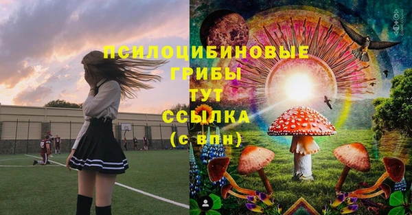 гашик Приозерск
