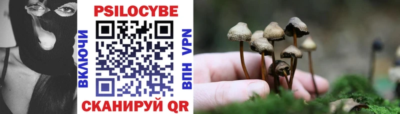 Галлюциногенные грибы мицелий блэк спрут сайт Арсеньев